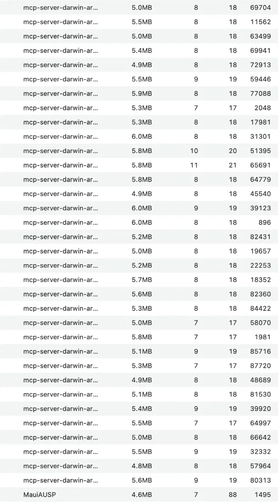 MCP Server Processes